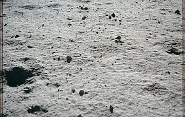 Лунный реголит