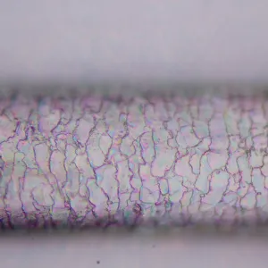 Микроскоп поляризационный MAGUS Pol 800, изображение 19