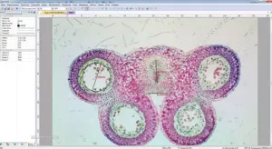 Видеоокуляр ToupCam 2 Мпикс (SCMOS02000KPA), изображение 2