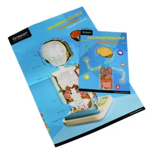 Модель интерактивная Oregon Scientific «Занимательная анатомия», изображение 5