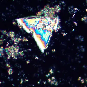 Микроскоп поляризационный MAGUS Pol 850, изображение 21