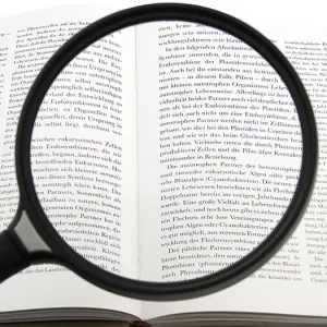 Лупа на ручке Veber 2,5х, 130 мм (89080), изображение 2