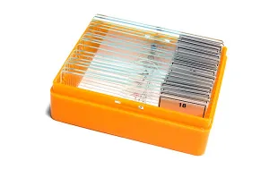 Набор готовых микропрепаратов Levenhuk N18 NG, изображение 5