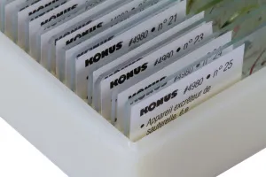 Набор микропрепаратов Konus 25: «Насекомые», изображение 4