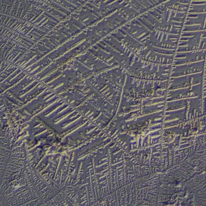 Устройство для работы методом дифференциально-интерференционного контраста (ДИК) MAGUS DIC290, изображение 10