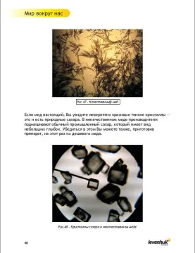 Набор для опытов с микроскопом Levenhuk K50, изображение 12